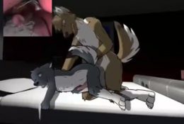 Brothers Furry Yiff Animation